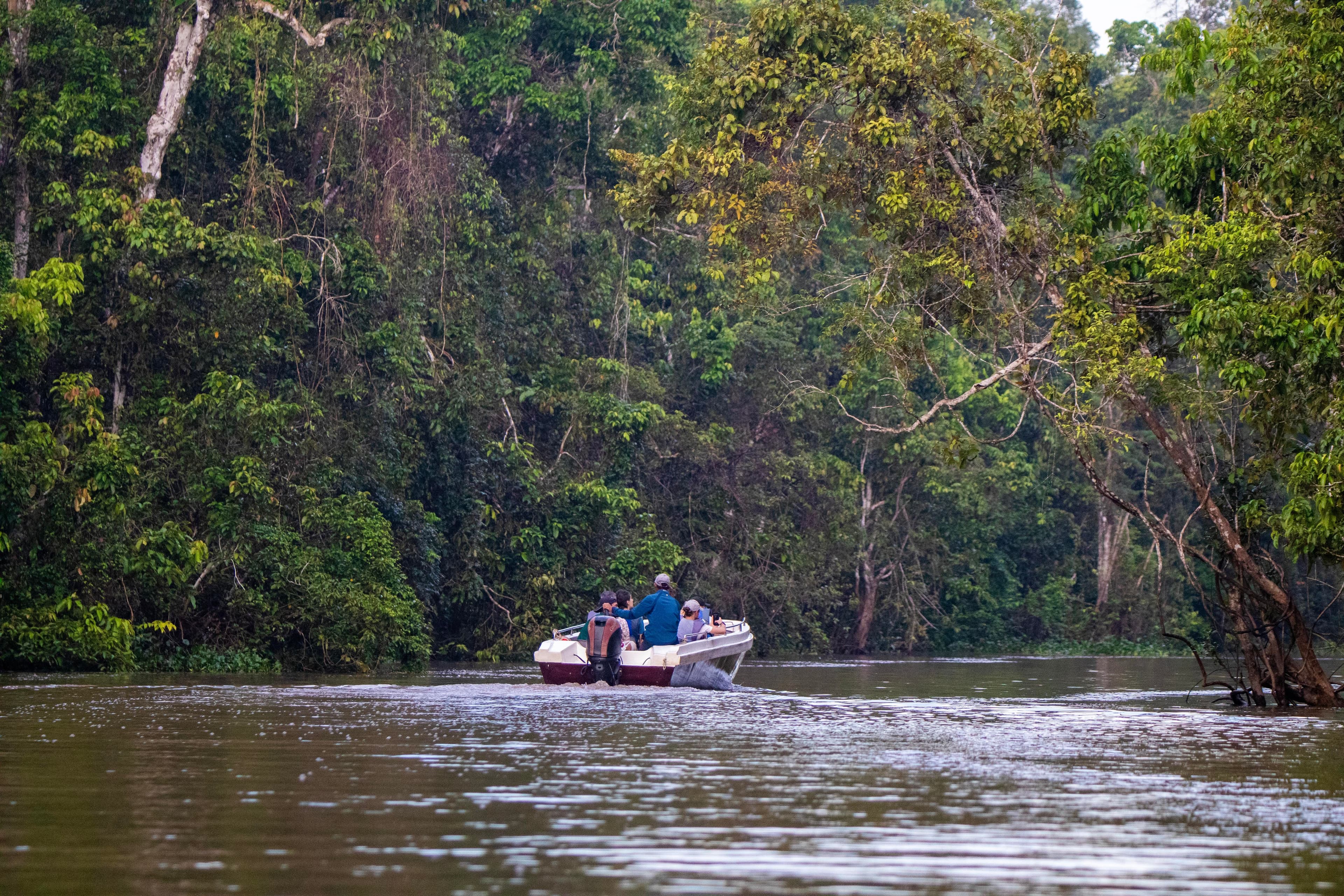 4D3N BIG 5 OF BORNEO KINABATANGAN RIVER CRUISE